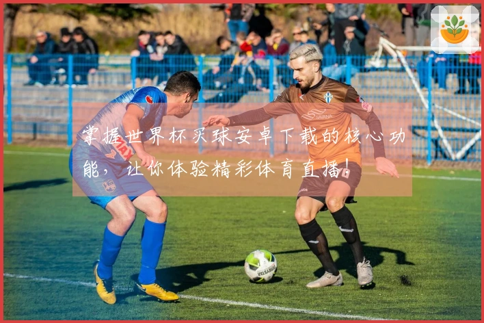 掌握世界杯买球安卓下载的核心功能，让你体验精彩体育直播！