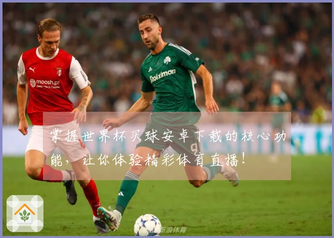 掌握世界杯买球安卓下载的核心功能，让你体验精彩体育直播！