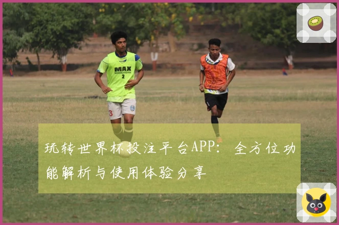 玩转世界杯投注平台APP：全方位功能解析与使用体验分享