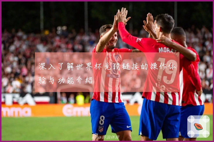 深入了解世界杯竞猜链接的操作体验与功能介绍