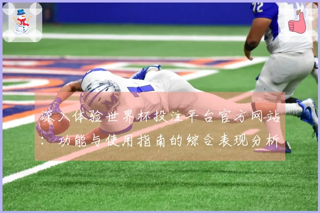深入体验世界杯投注平台官方网站:功能与使用指南的综合表现分析