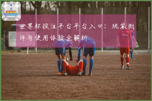 世界杯投注平台平台入口：玩家测评与使用体验全解析
