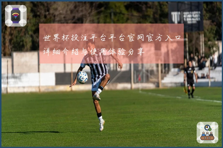 世界杯投注平台平台官网官方入口详细介绍与使用体验分享
