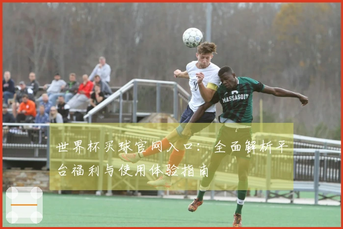 世界杯买球官网入口：全面解析平台福利与使用体验指南