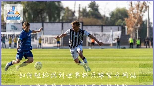 如何轻松找到世界杯买球官方网站入口并享受全方位体育直播体验