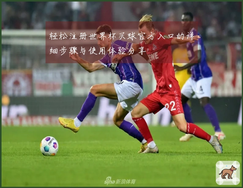 轻松注册世界杯买球官方入口的详细步骤与使用体验分享
