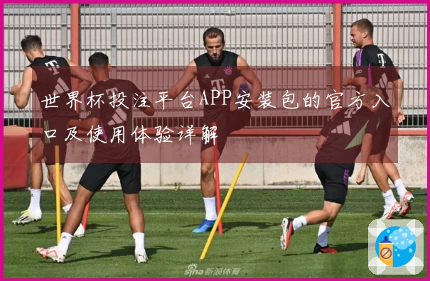 世界杯投注平台APP安装包的官方入口及使用体验详解