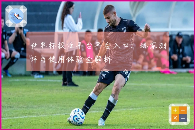 世界杯投注平台平台入口：玩家测评与使用体验全解析