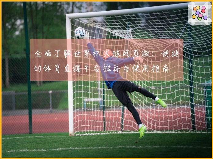 全面了解世界杯买球网页版:便捷的体育直播平台推荐与使用指南