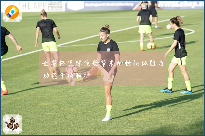 世界杯买球注册带来的畅快体验与功能介绍解析