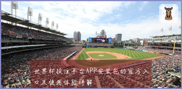 世界杯投注平台APP安装包的官方入口及使用体验详解
